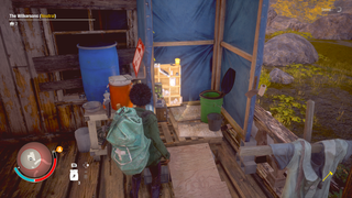 Look At This Extremely Nice Video Game Latrine